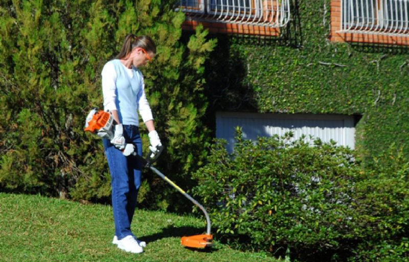 Roçadeira STIHL FS 38 com AutoCut C6-2 - Imagem 3