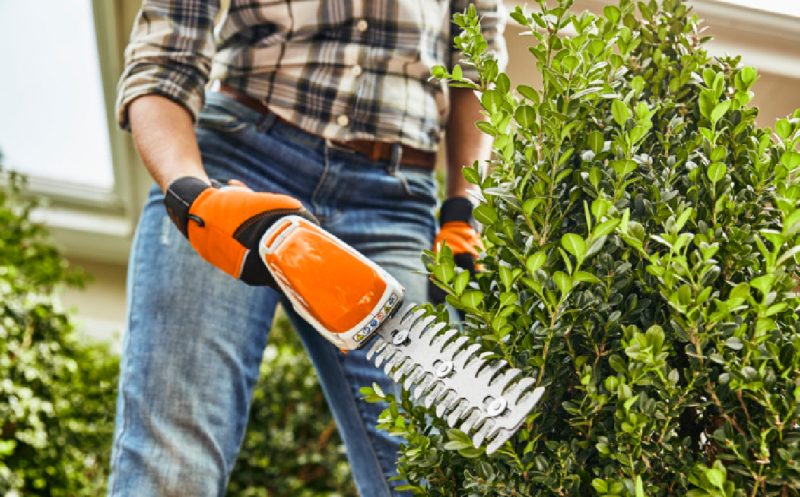 Podador de Arbustos a Bateria STIHL HSA 26 SET 220V - Imagem 2