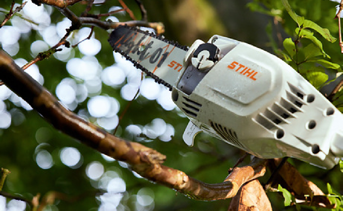 Motopoda STIHL HTA 86 30cm/12" - Imagem 2