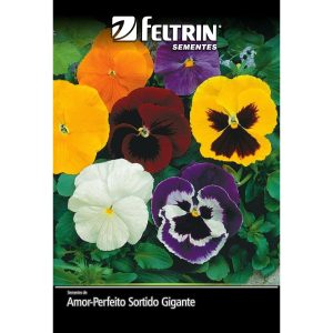 Semente de Amor-Perfeito Sortido Gigante Feltrin 70 mg