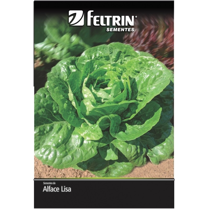 Semente de Alface Lisa Elisabeth Feltrin 700 mg