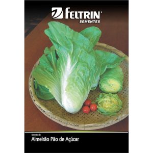 Semente de Almeirão Pão de Açúcar Feltrin 700 mg