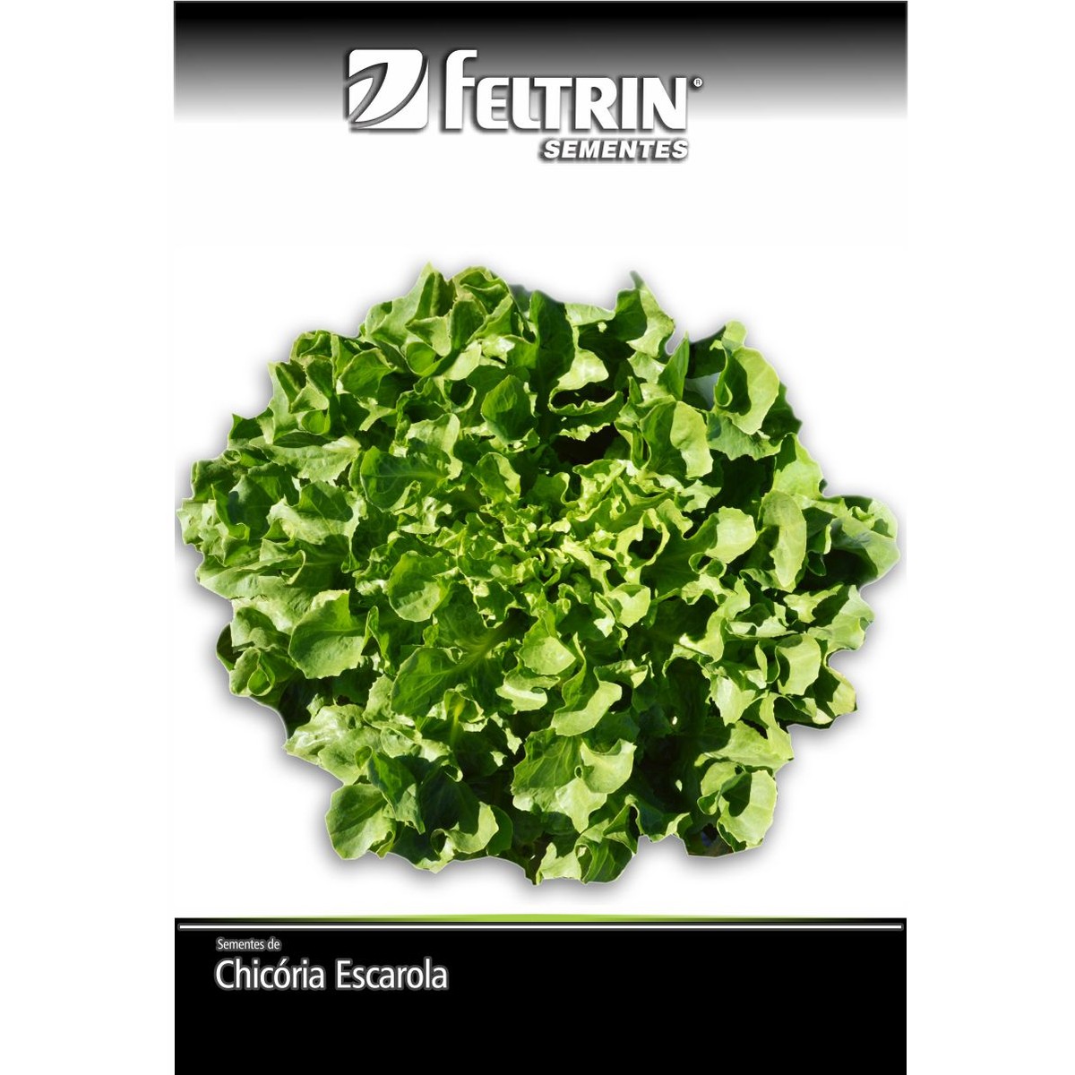 Semente de Chicória Gigante Barbarella Feltrin 700 mg