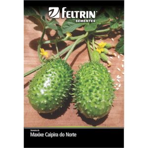 Semente de Maxixe do Norte Feltrin 1 g