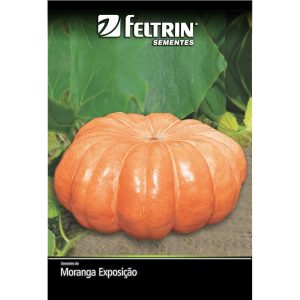 Semente de Moranga Exposição Feltrin 2 g