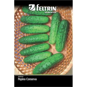 Semente de Pepino Pioneiro Feltrin 1 g