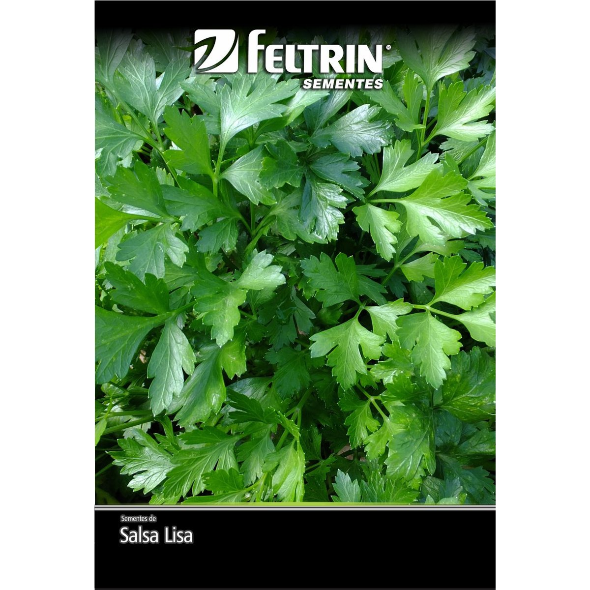 Semente de Salsa Lisa Feltrin 900 mg